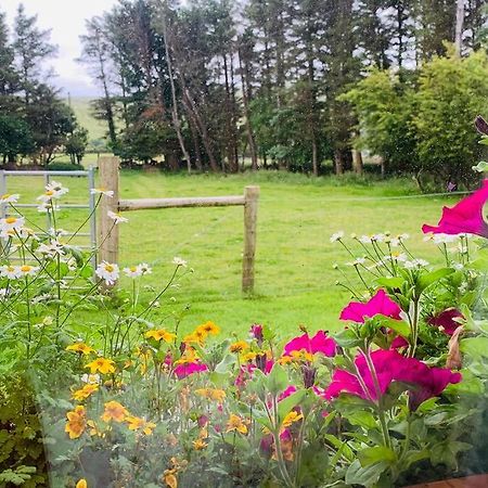 Glen Keen Farm Cottage Louisburgh Extérieur photo