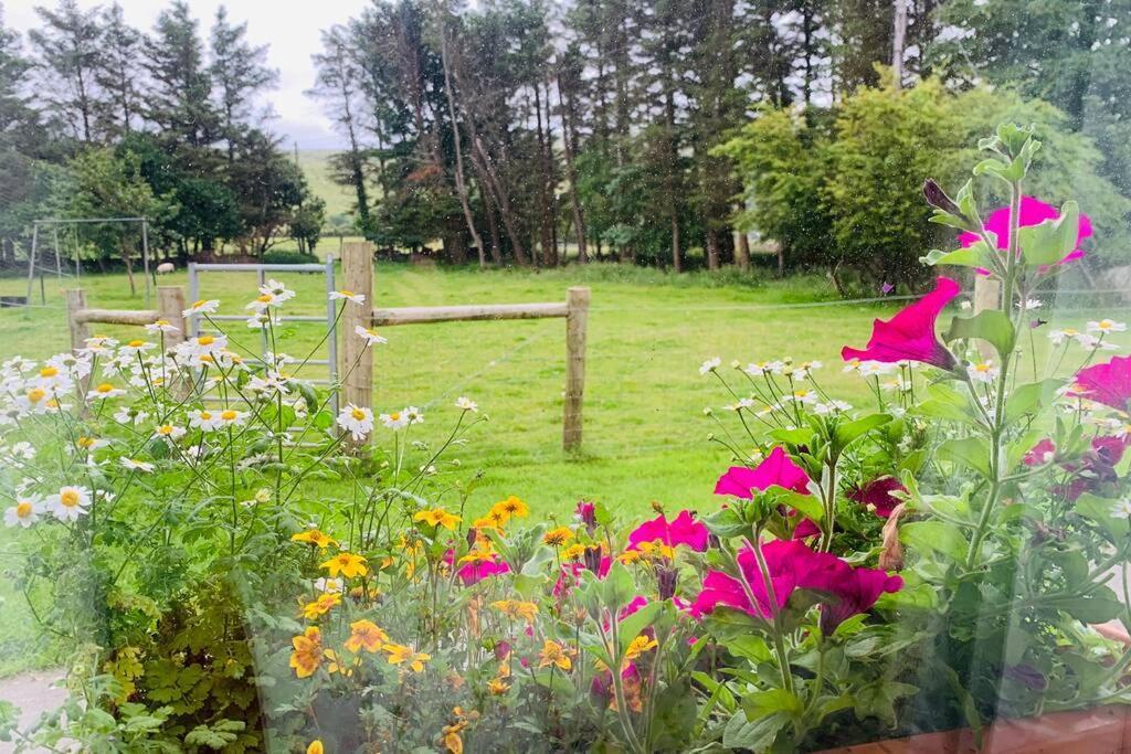 Glen Keen Farm Cottage Louisburgh Extérieur photo
